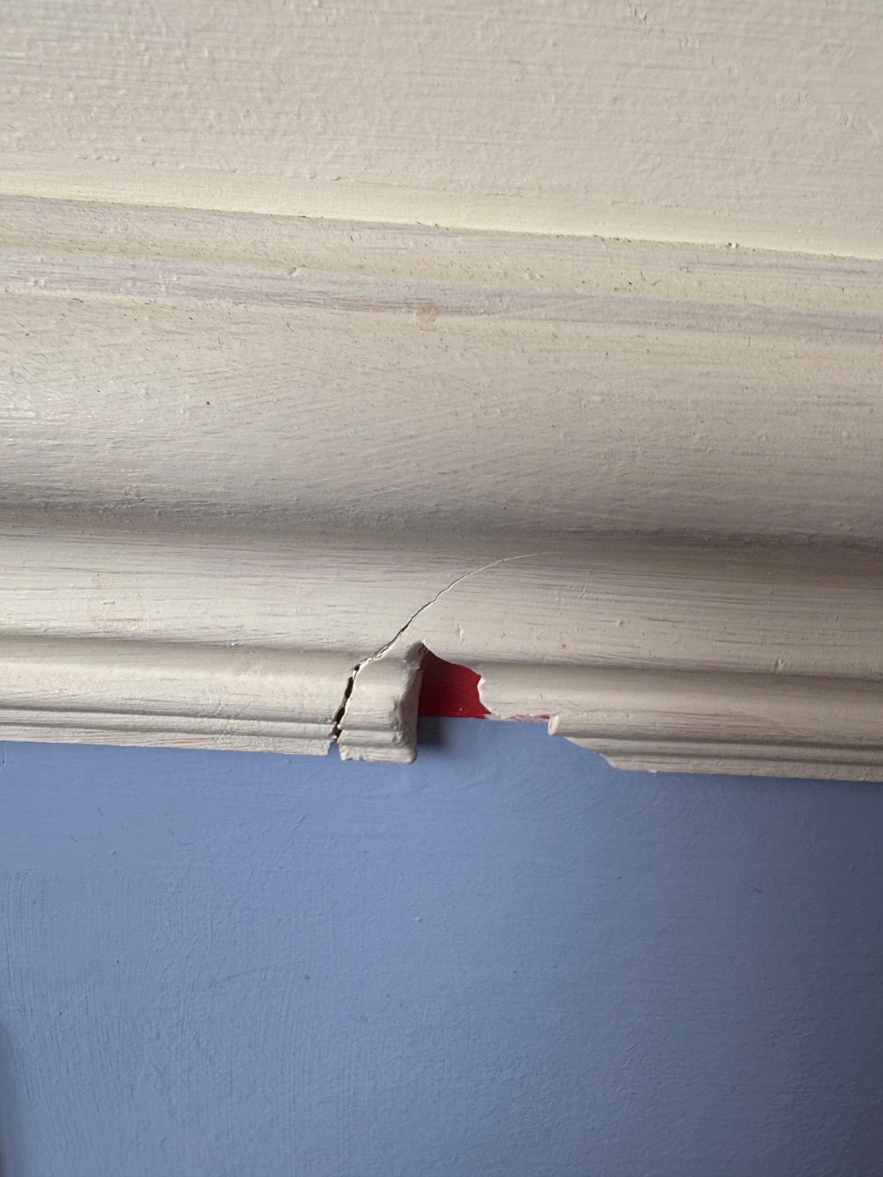 Decorating Terrible 