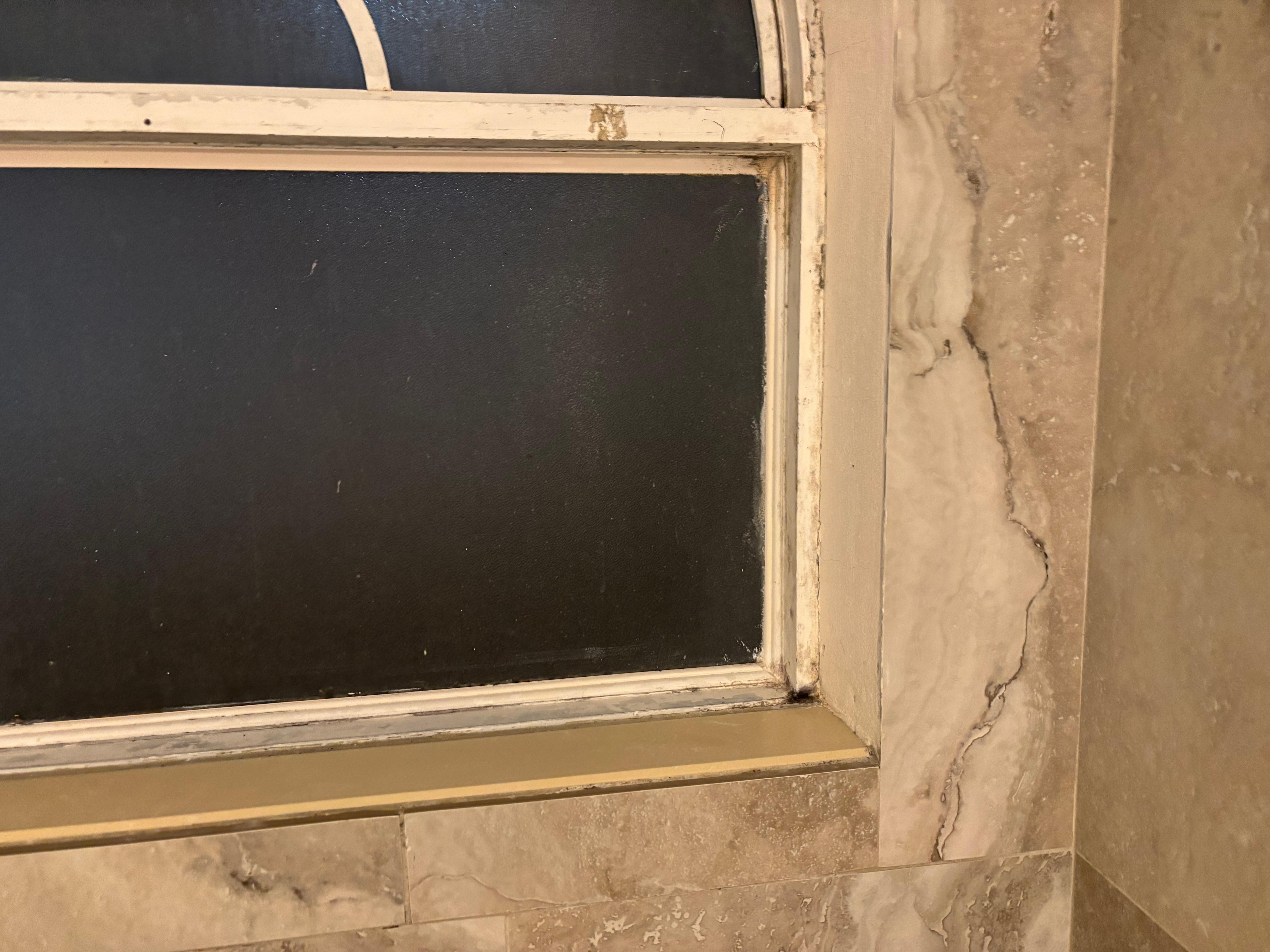 Mold in all window sills