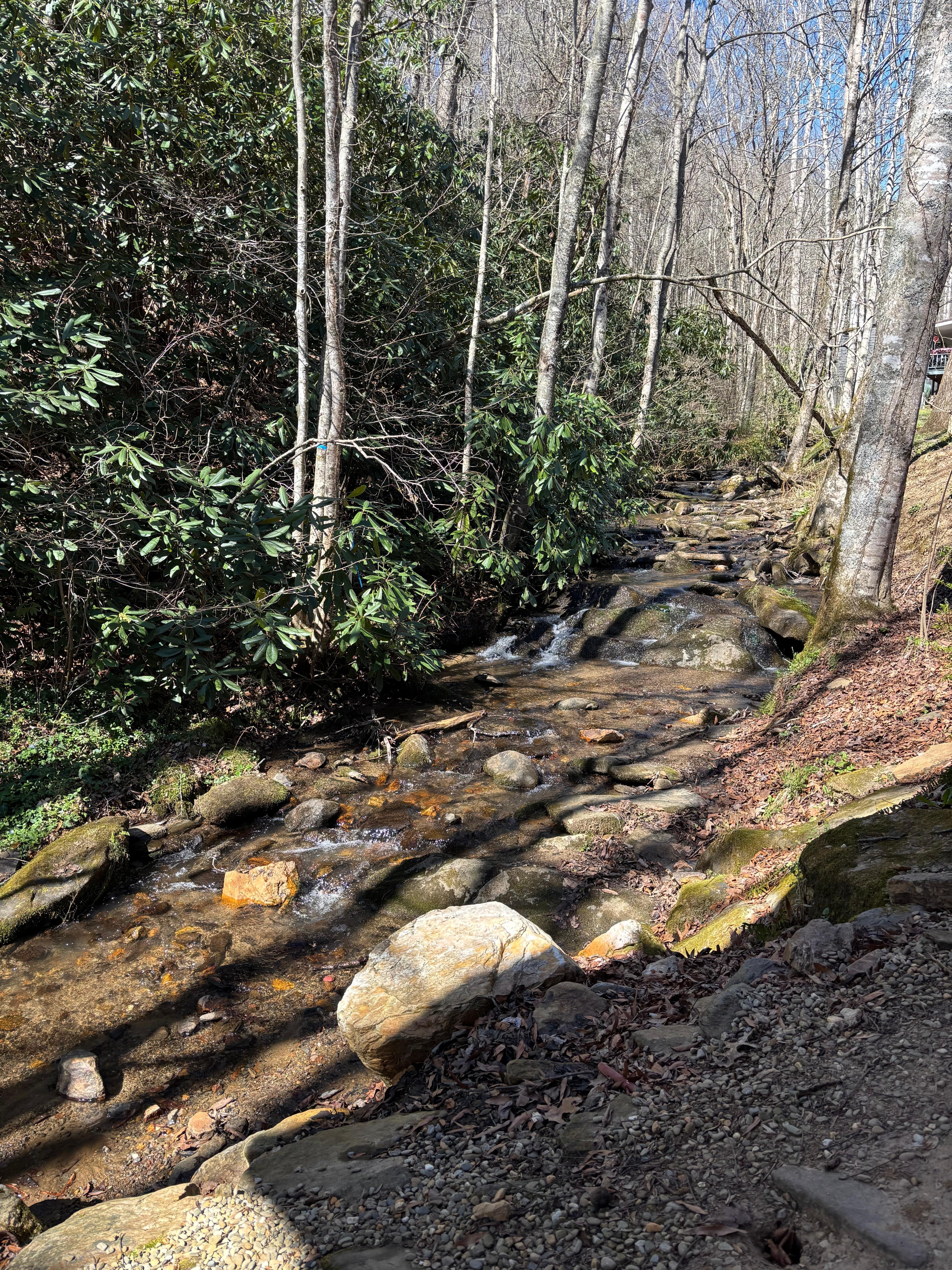 The creek right behind the cabin. Our daughter found lizards & a crawdad to observe at night! 