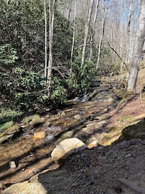 The creek right behind the cabin. Our daughter found lizards & a crawdad to observe at night!