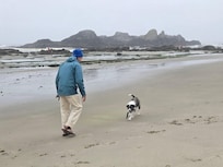 Seal Rock beach about 10 miles north