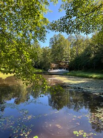 Pond view from short trail/driveway.