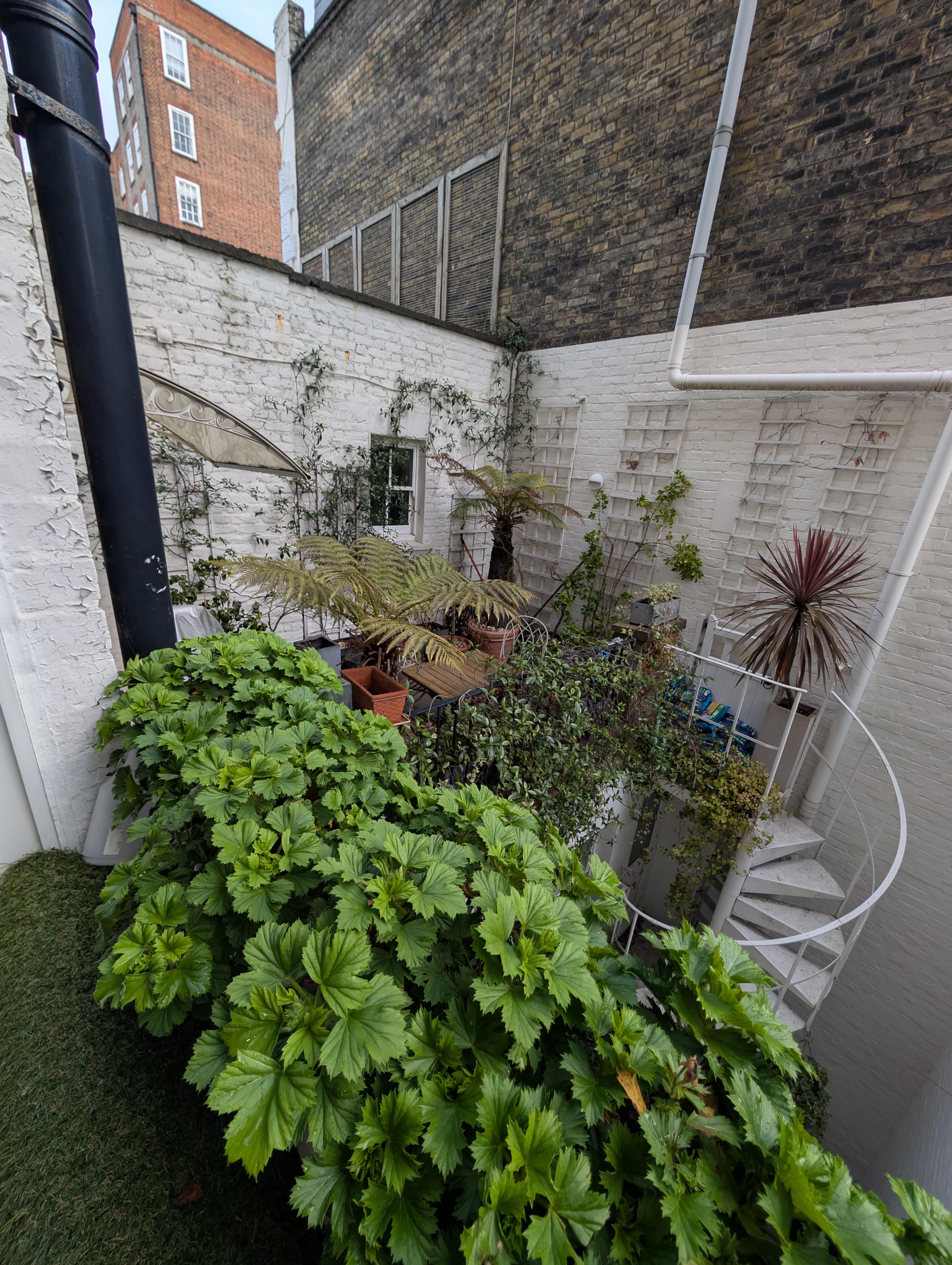 A secret garden at the back!