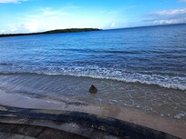 View from across the street of apartment