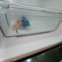 Frigo commun douteux
