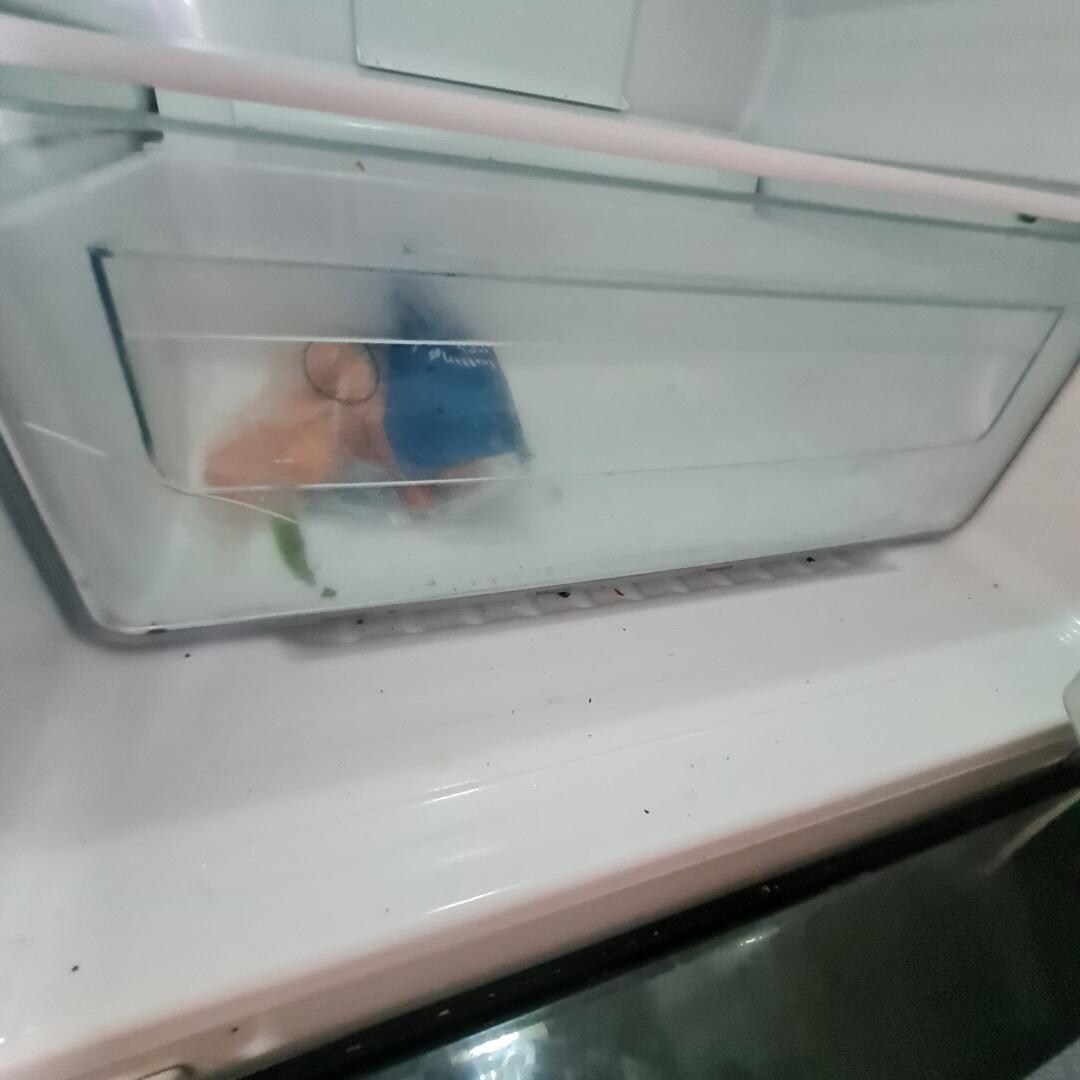 Frigo commun douteux