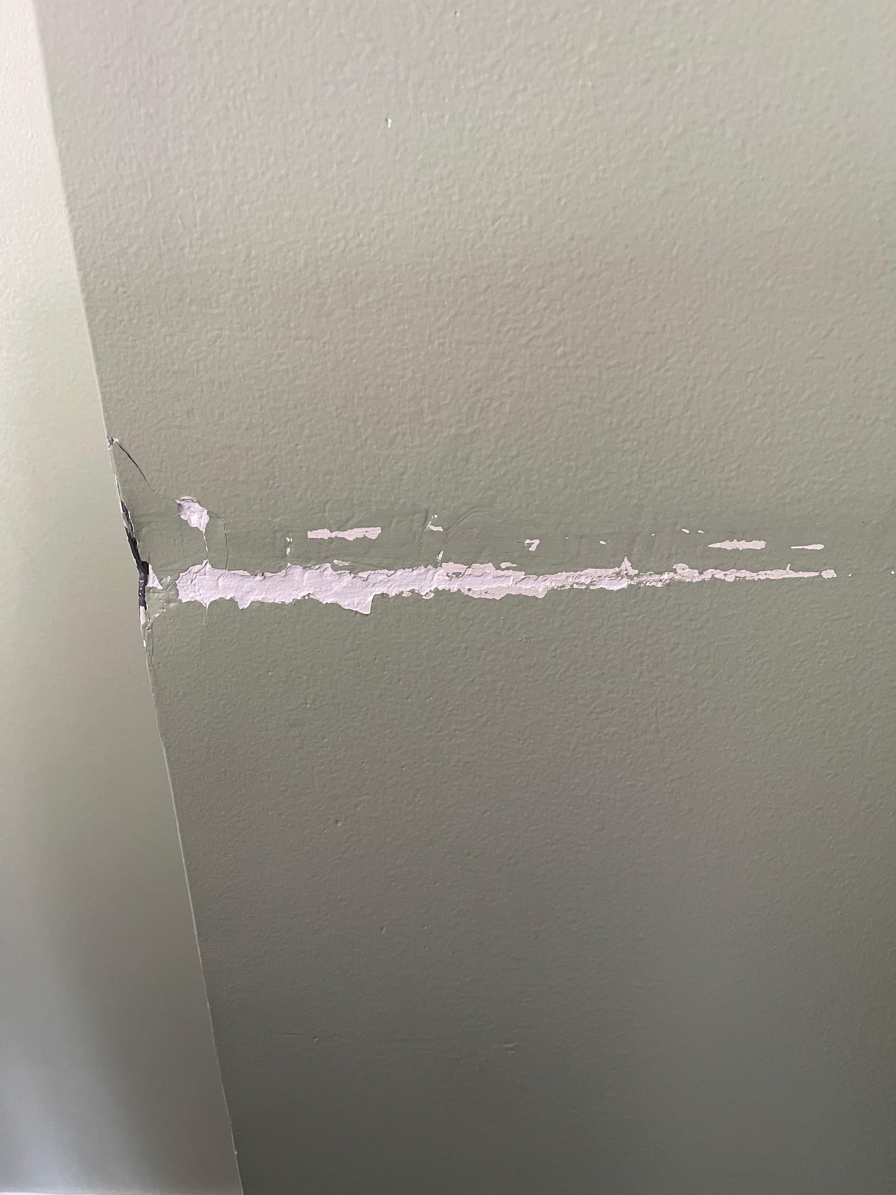 Giant gouges and scratches all over the room