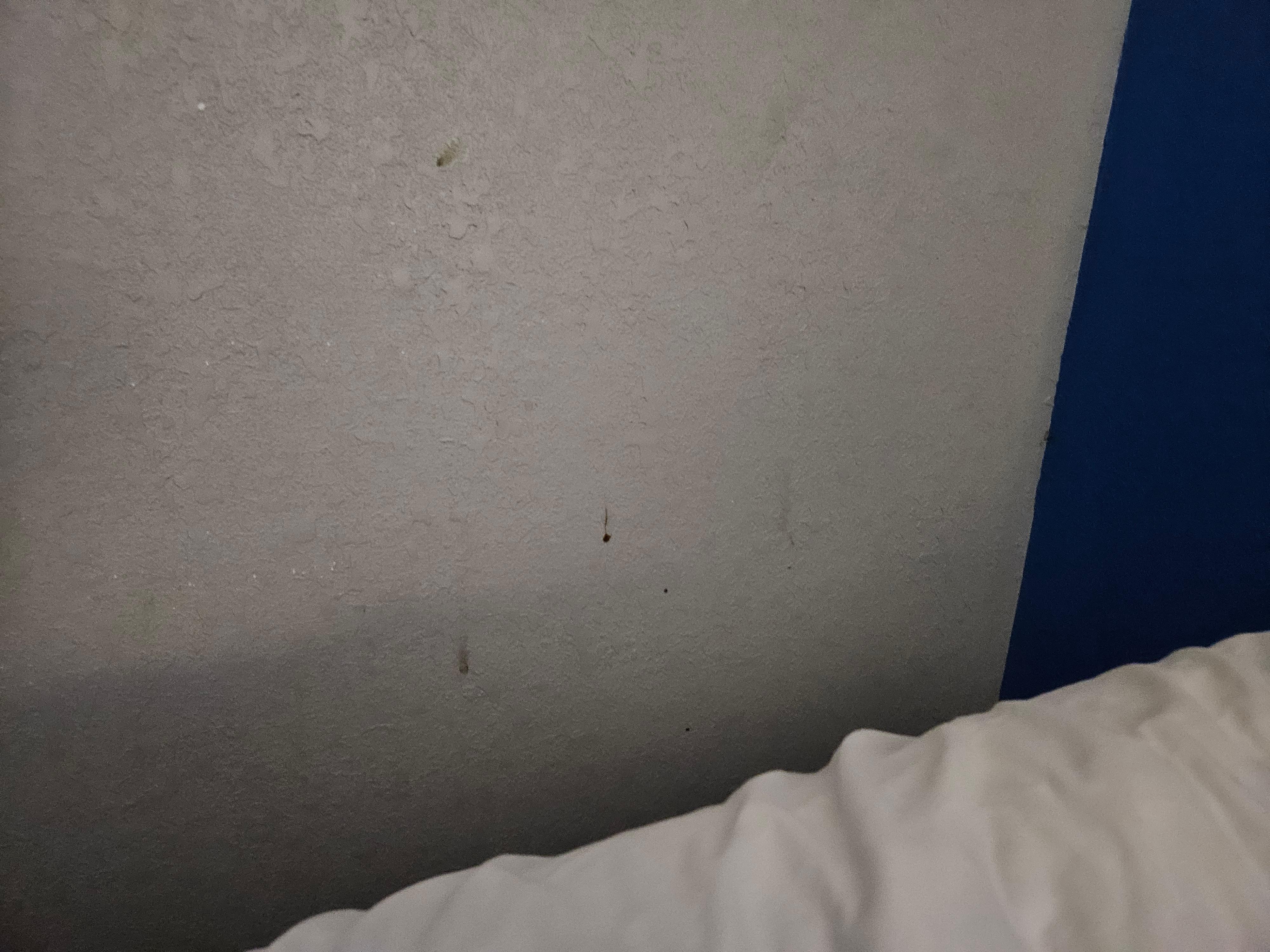 Random gross stains on the wall next to the bed. 