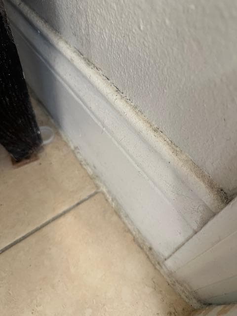 Dust and dirt along all for bases etc.