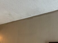 All the way around the room it looked like the walls were wet or had water damage