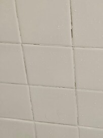 Mold