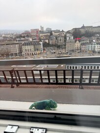 Iggy the iguana takes in the view of Zürich from our window at Ruby Mimi, Zurich Hotel