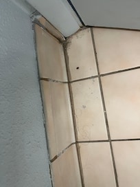 Hair and dead bug on bathroom floor