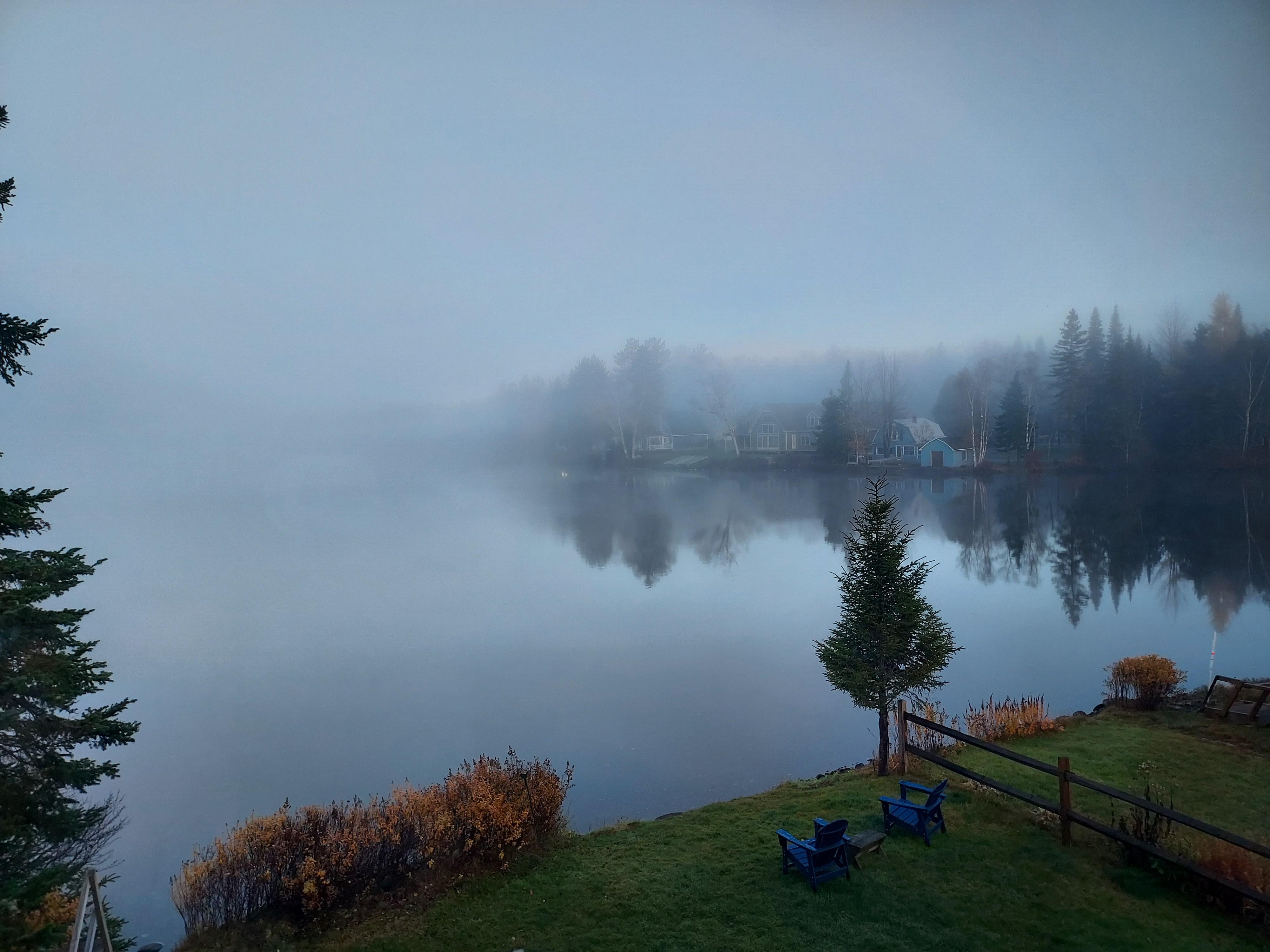 Morning mist on the lake