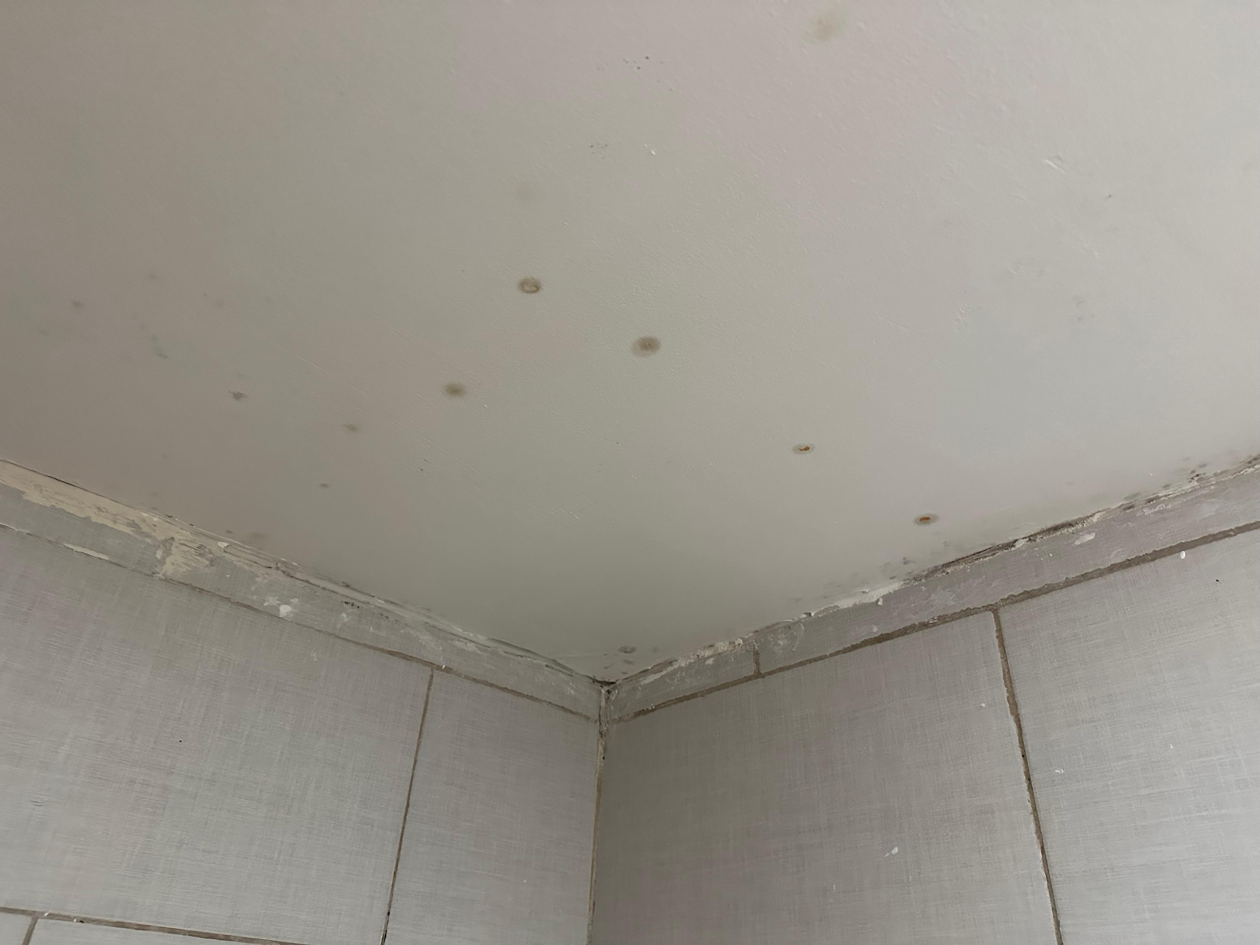 The bathroom ceiling