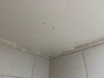 The bathroom ceiling
