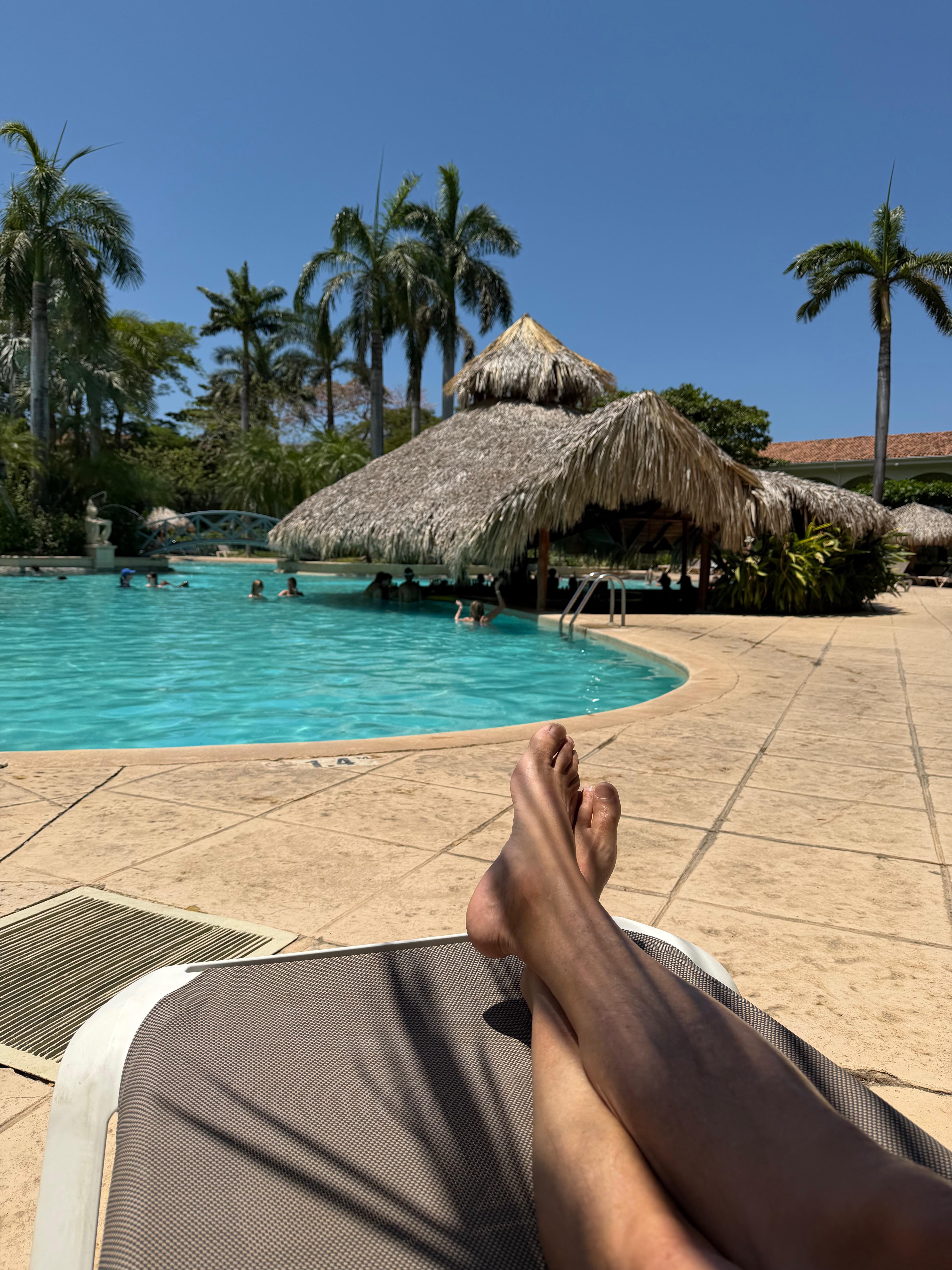 Sun or shade? So many decisions haha!