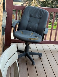 Broken furniture with rips throughout house