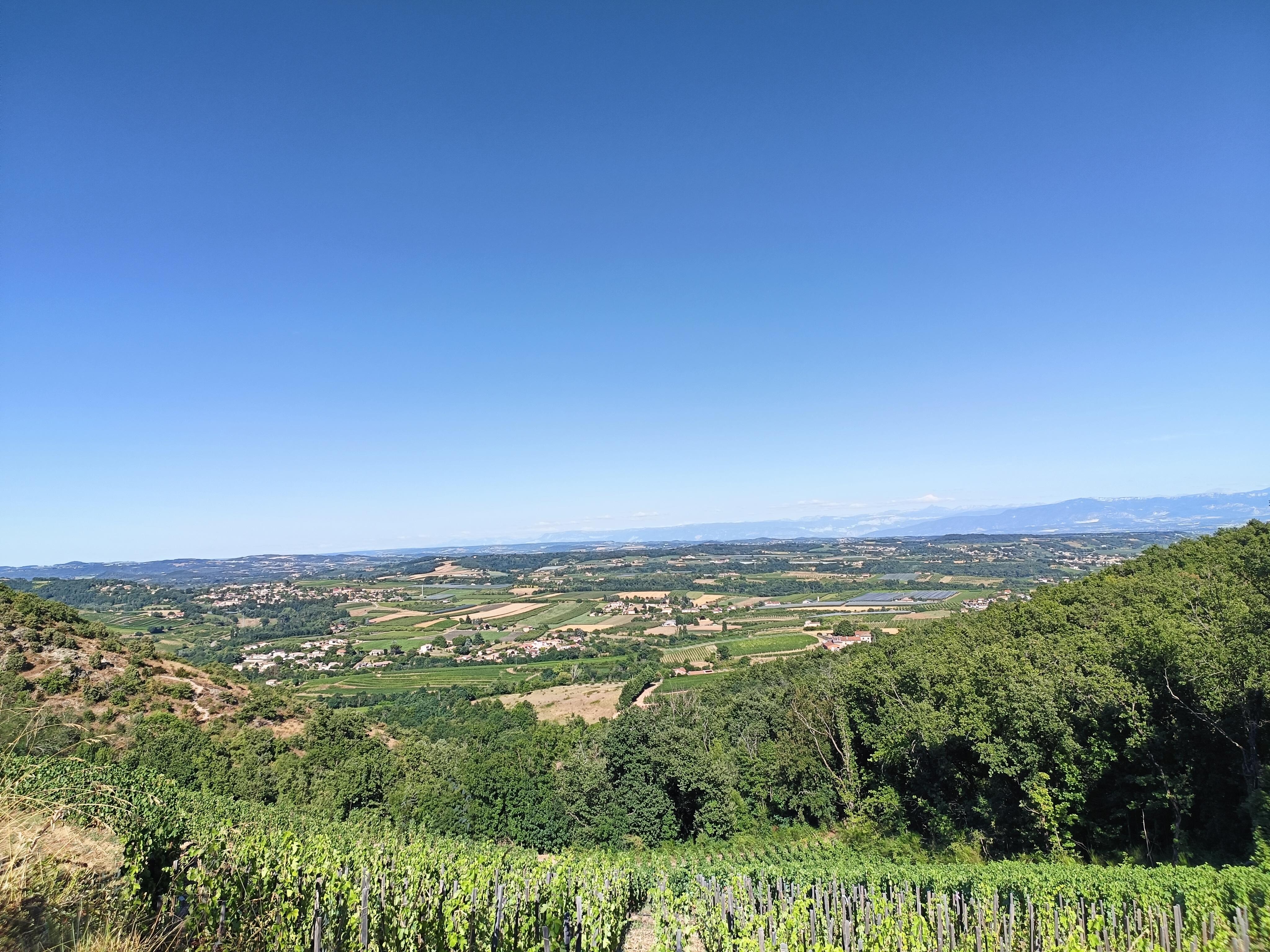 Vue sur le vignoble de Crozes Hermitage 