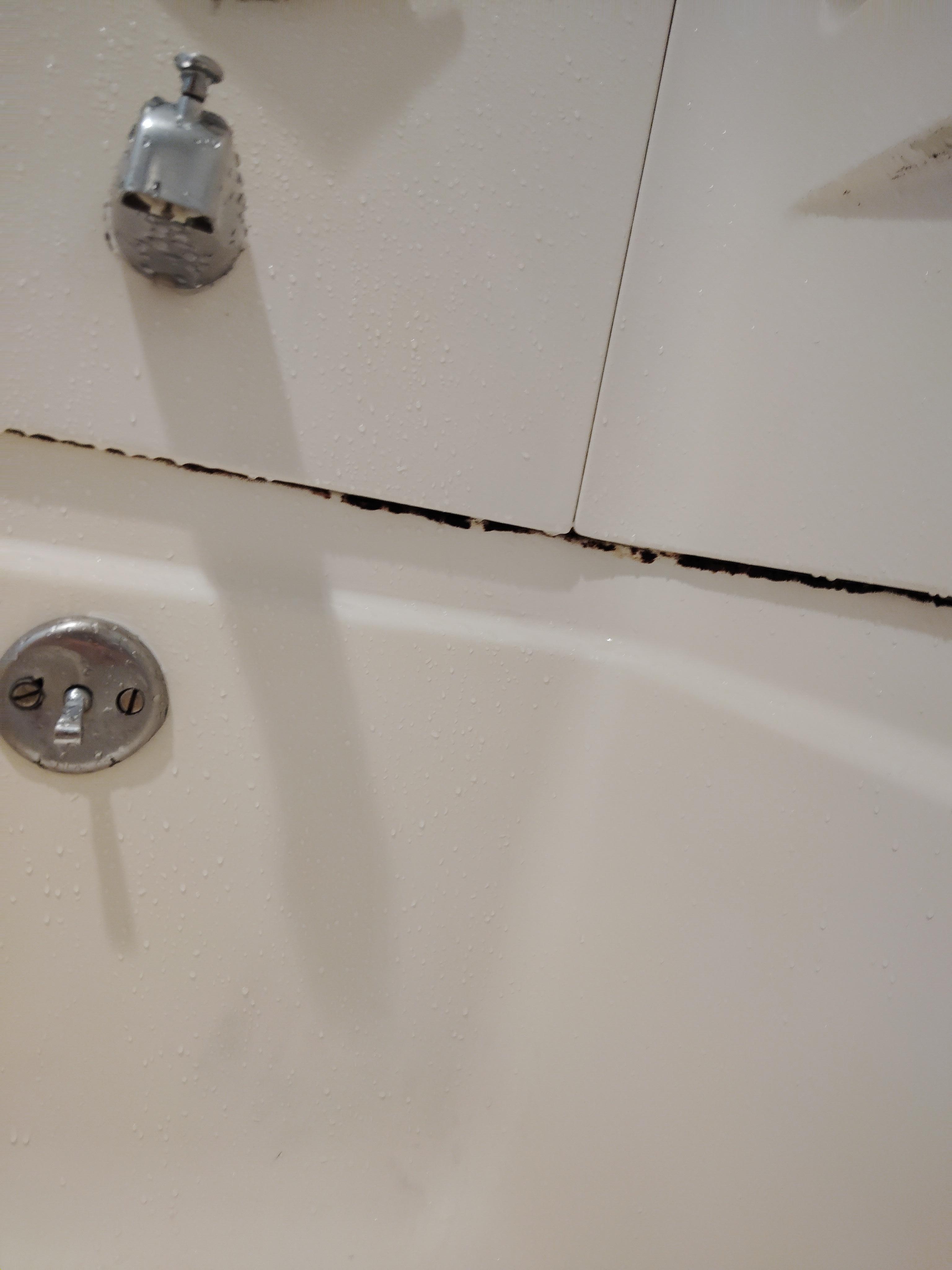 More mold