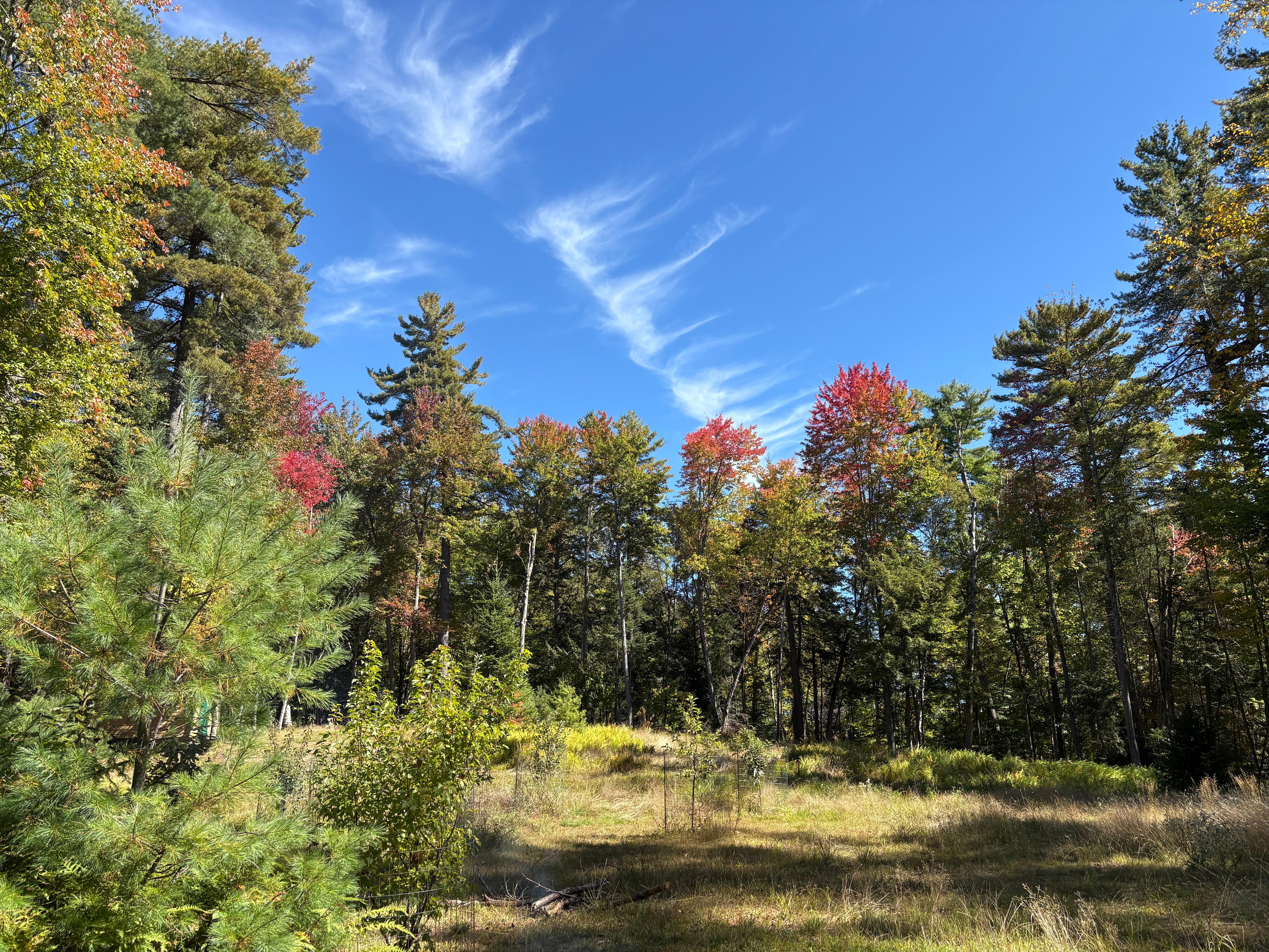 Our view was quiet and relaxing. 