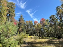 Our view was quiet and relaxing.