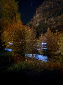 Backyard at night
