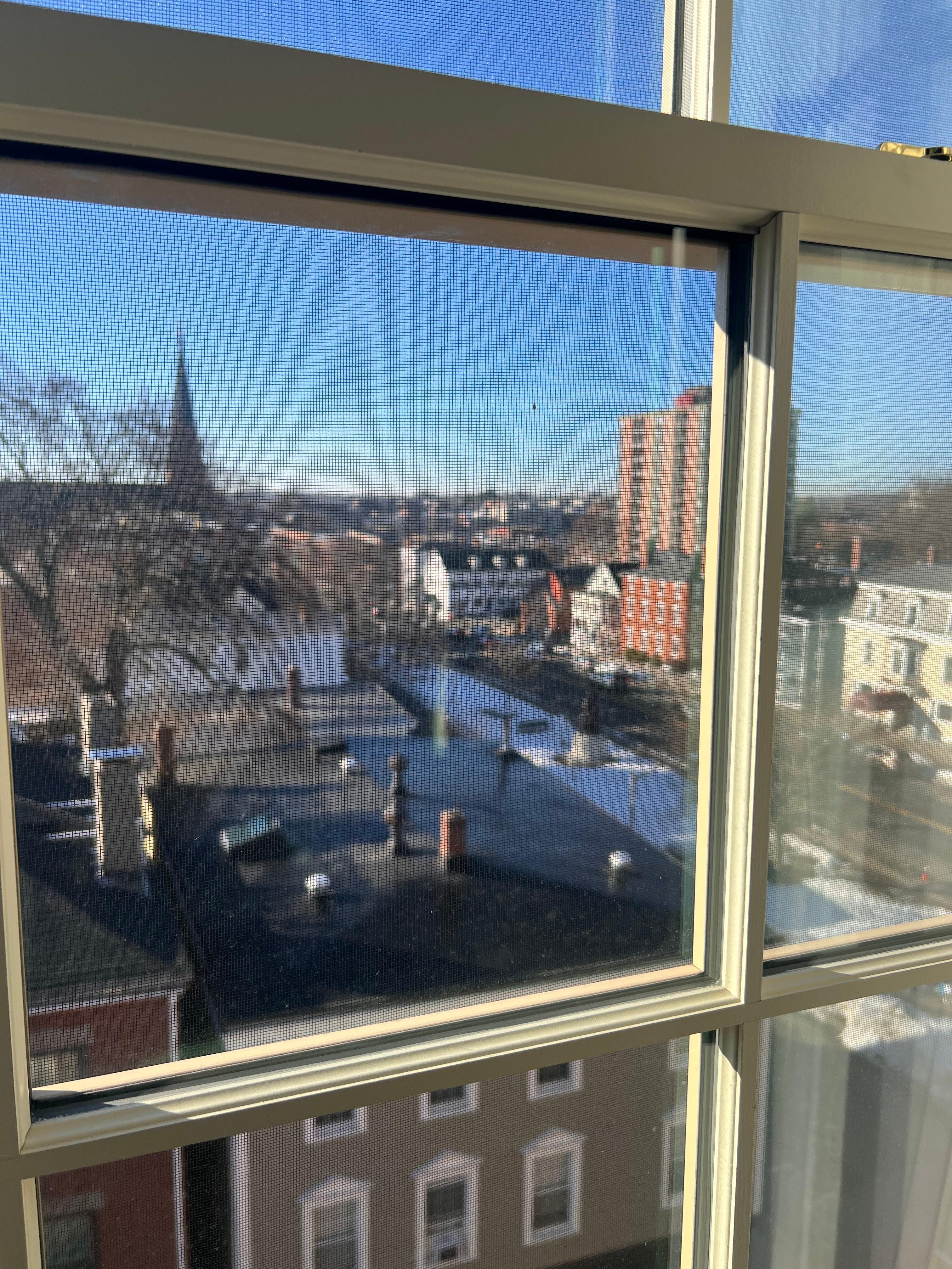 View out corner room window 