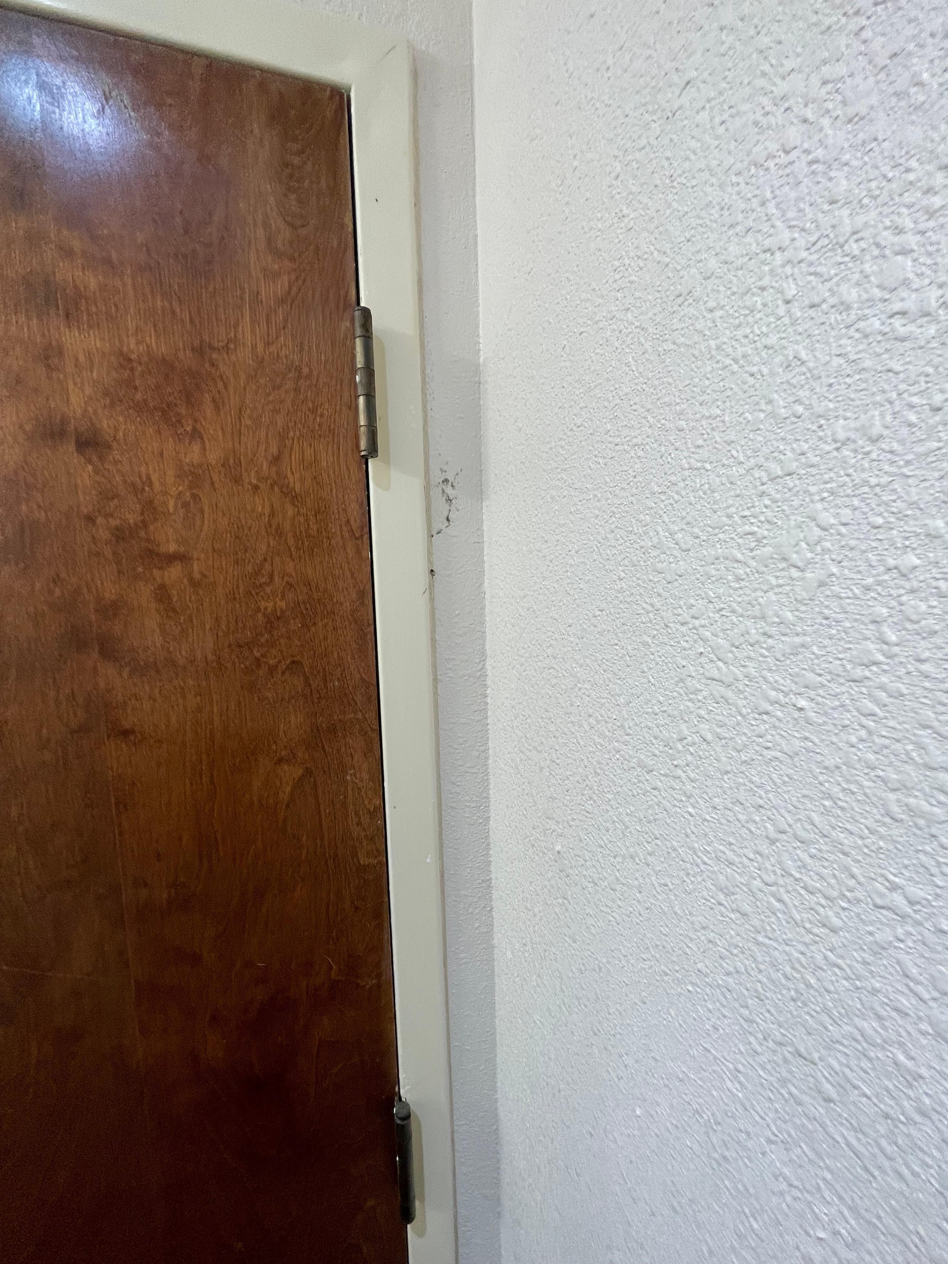 Mold behind bathroom door