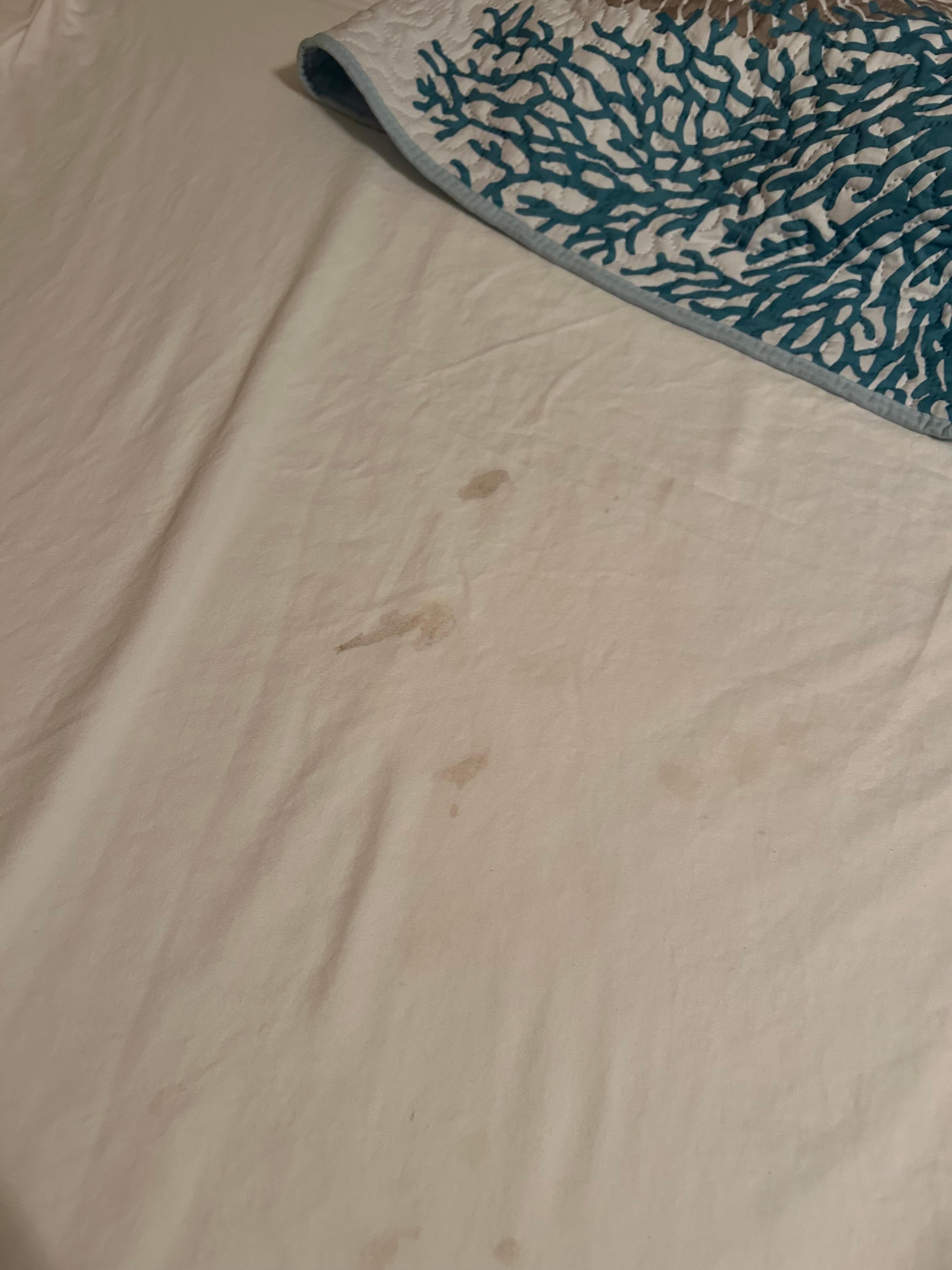 Stained bed sheets