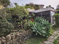 Plants beside the Casita