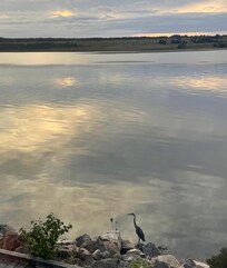 View from The Harbour restaurant while we ate supper