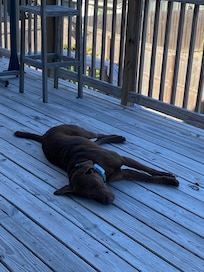 Deck was great for relaxing.