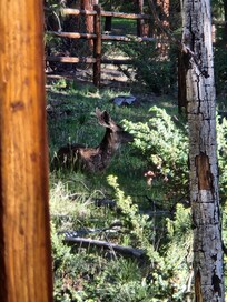 Sitting on the porch looking north