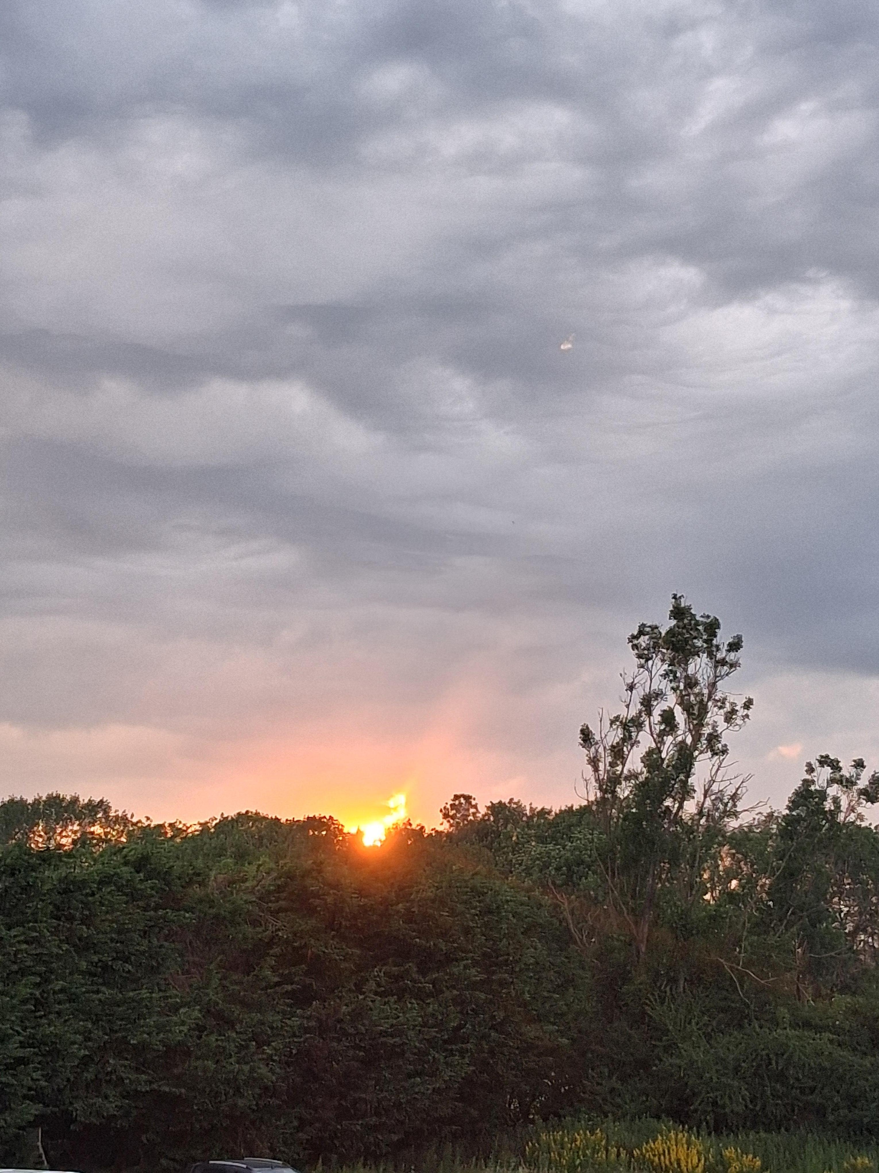 Sunset over the trees, taken mid June