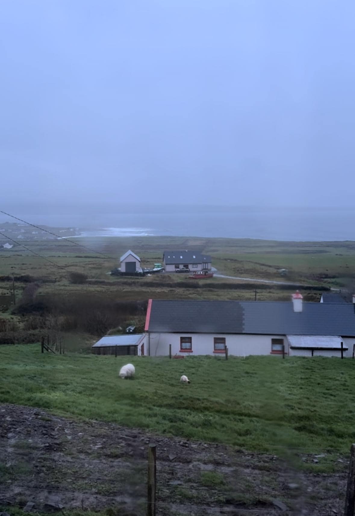 View from the family room