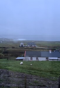 View from the family room