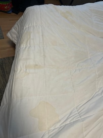 The whole sheet set and comforter set