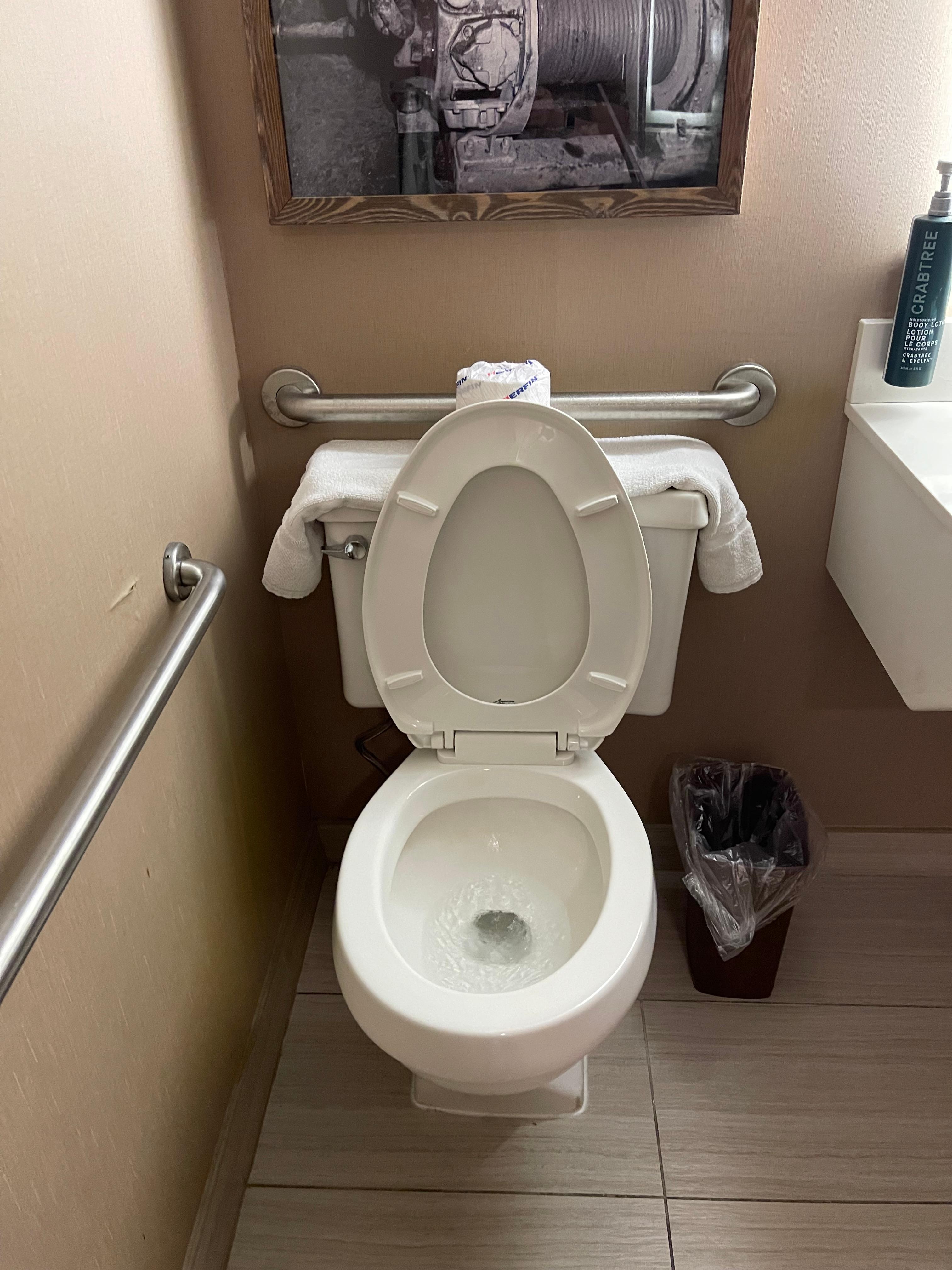 That’s our bathmat on top of the toilet!