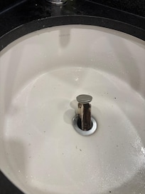 Sink clogged all week. Notice disgusting sink stopper.