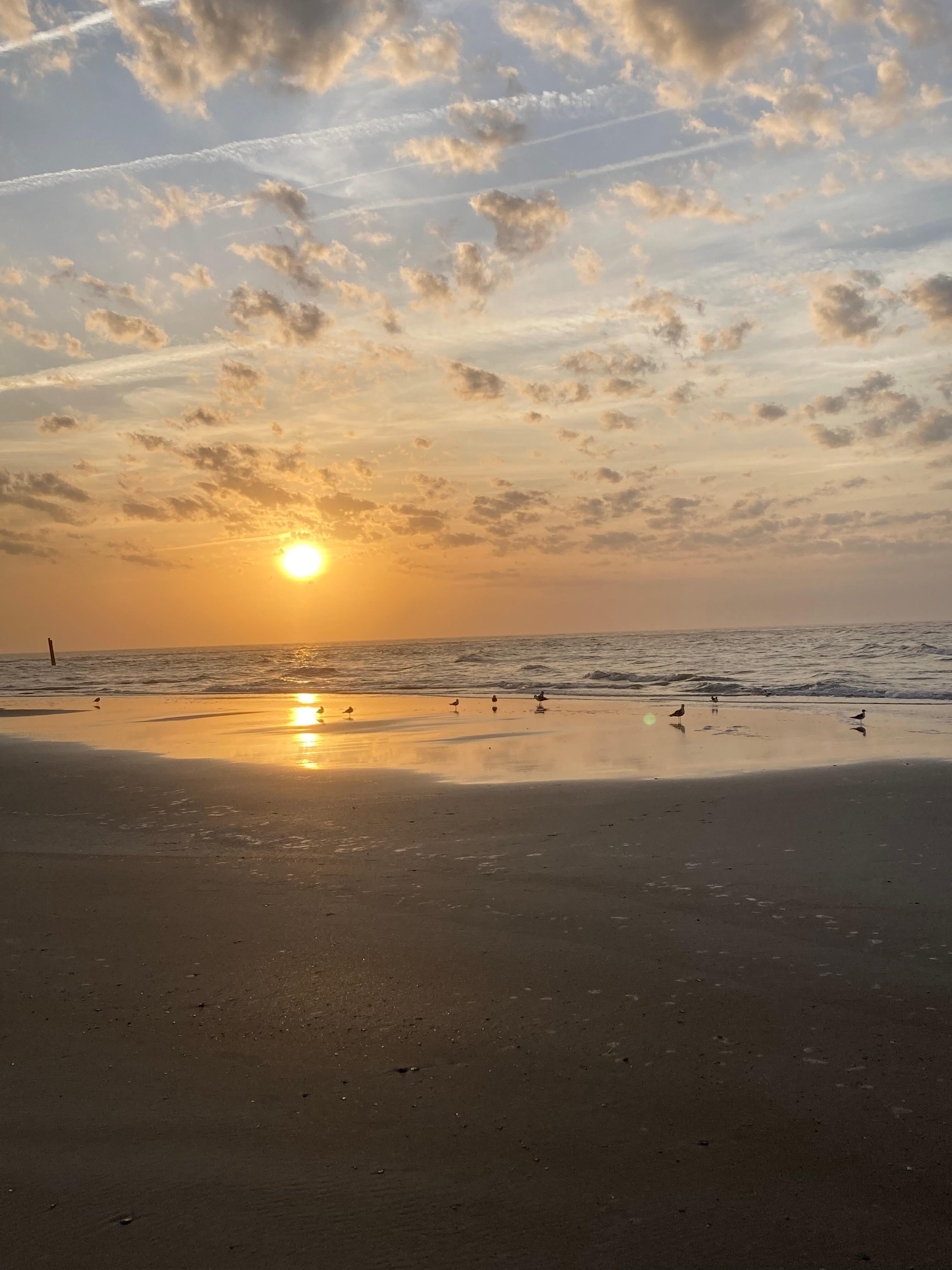 Gorgeous sunrise 