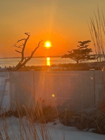 View from living room.