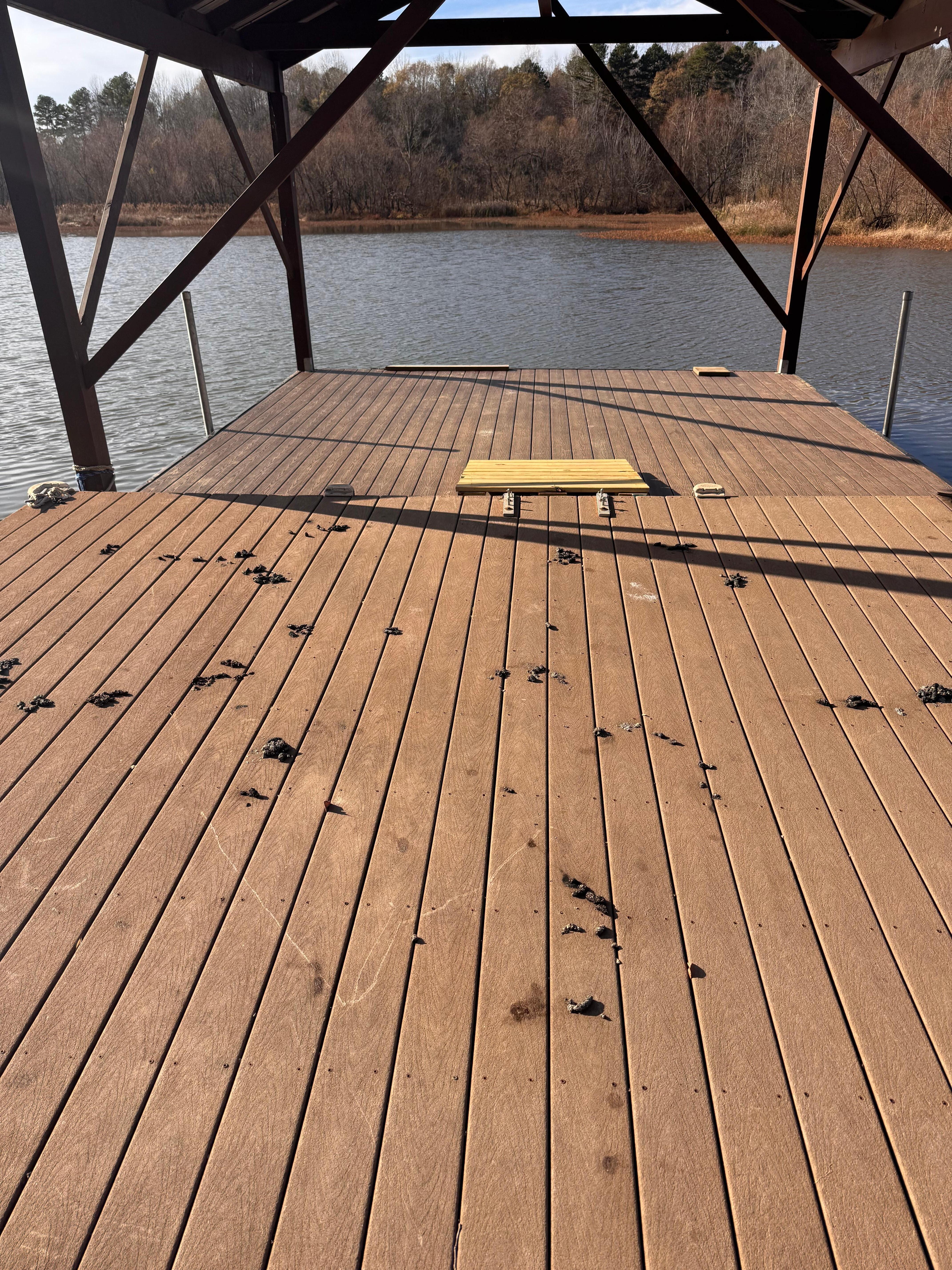 dock had geese pop all over