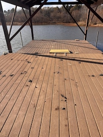 dock had geese pop all over