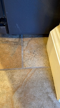 Ants in kitchen around refrigerator