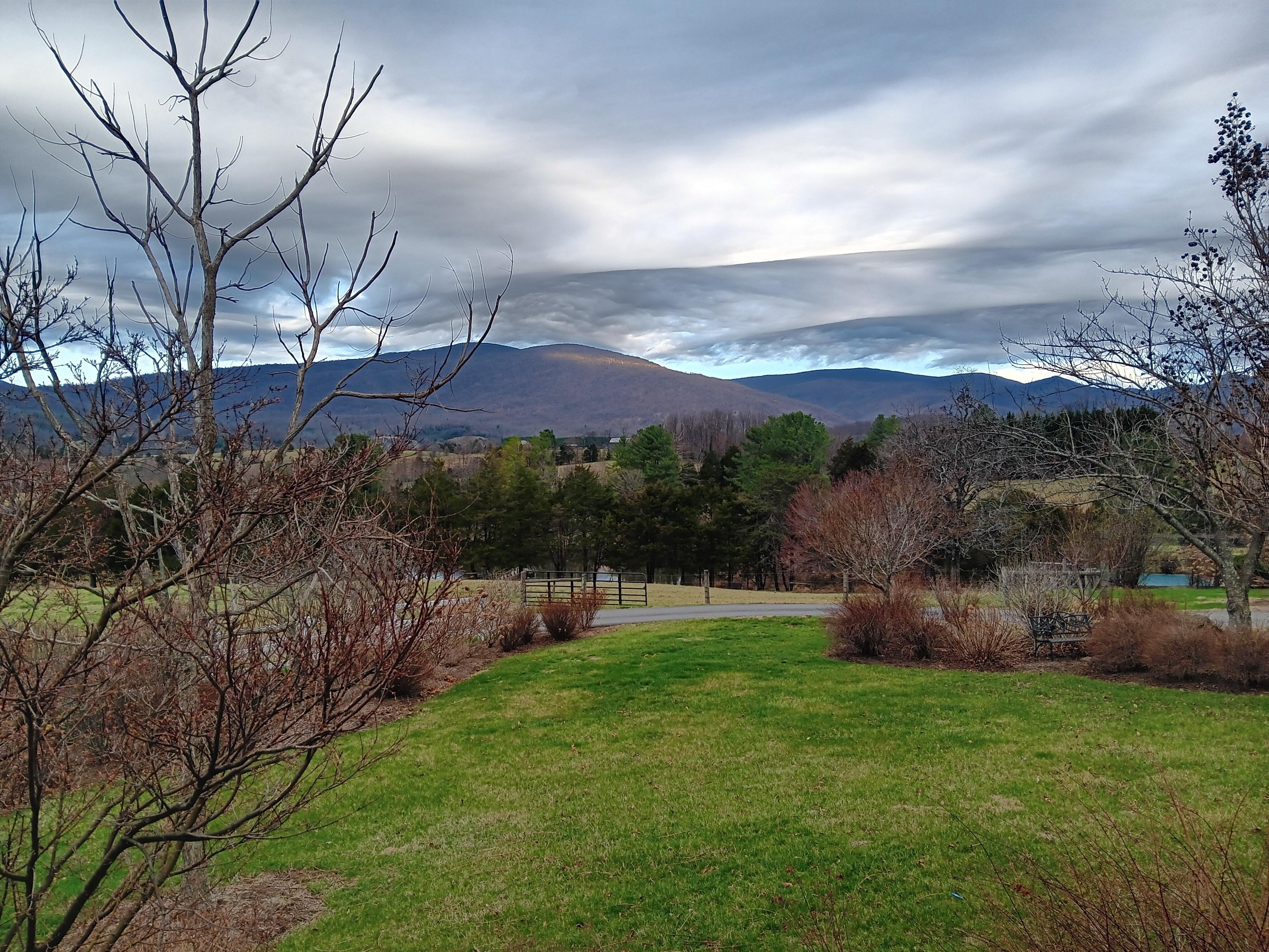View out front of the house