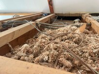Rats nest