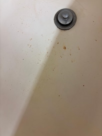 The bathtub