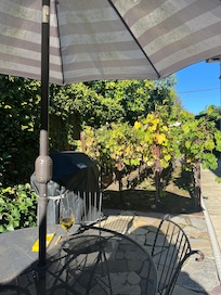 Patio with micro vineyardâŠvery charming.