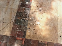 Pool area. There's a lot of bird droppings that were never cleaned up over a 3 day stay.